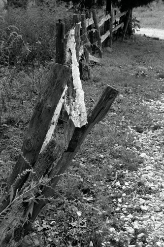 MomVisitFence